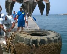 Raccolti più di 3.300 PFU a Pantelleria, Lampedusa e Ustica