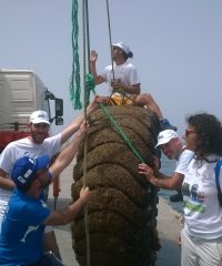 Lampedusa e Linosa